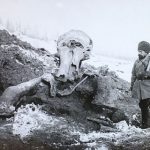 mamutcsontok elkerlse